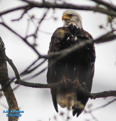 37.23,-76.70 College Creek Beach area, colonial Parkway Williamsburg va  (Estados Unidos)