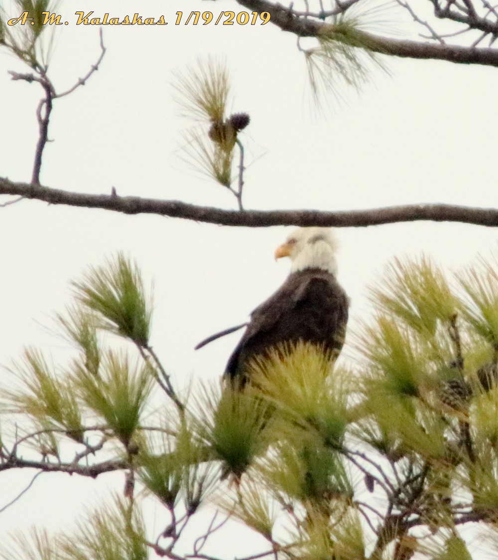 37.22,-76.70, Marker K27, Colonial Parkway, Williamsburg va 23185 (USA)