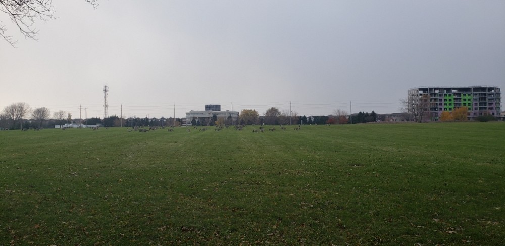 whitby lake Ontario  (Kanada)