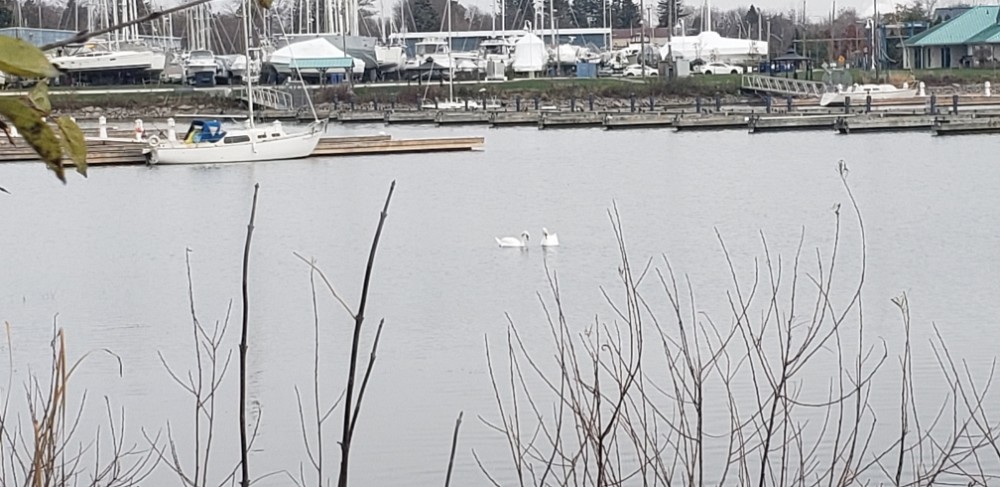 whitby lake Ontario  (Канада)