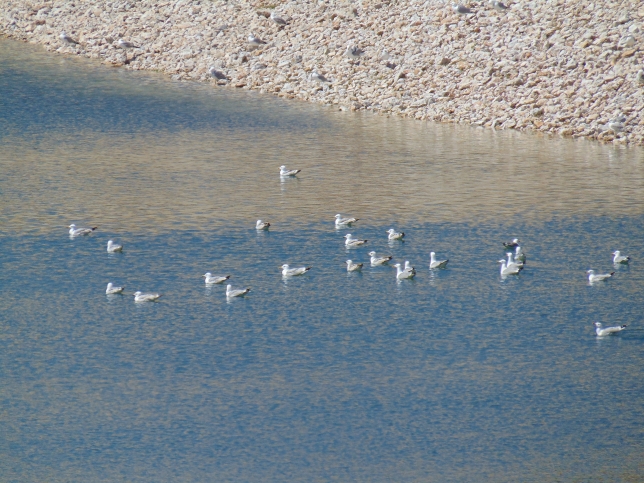 Alonissos Lake (Reservoir)  (Grécia)