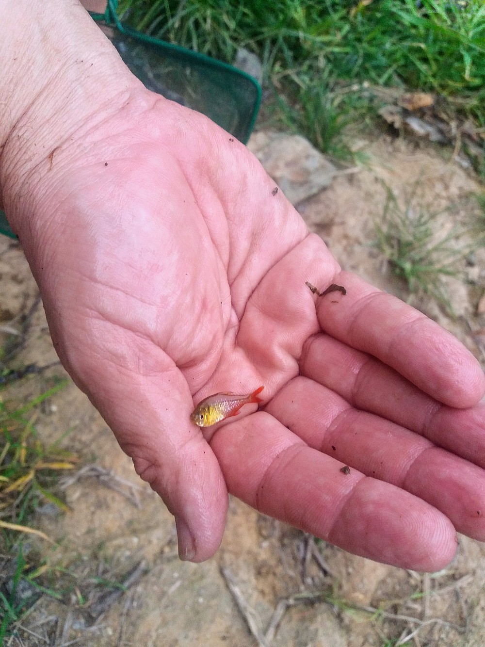 Puerto Inca (Ecuador)