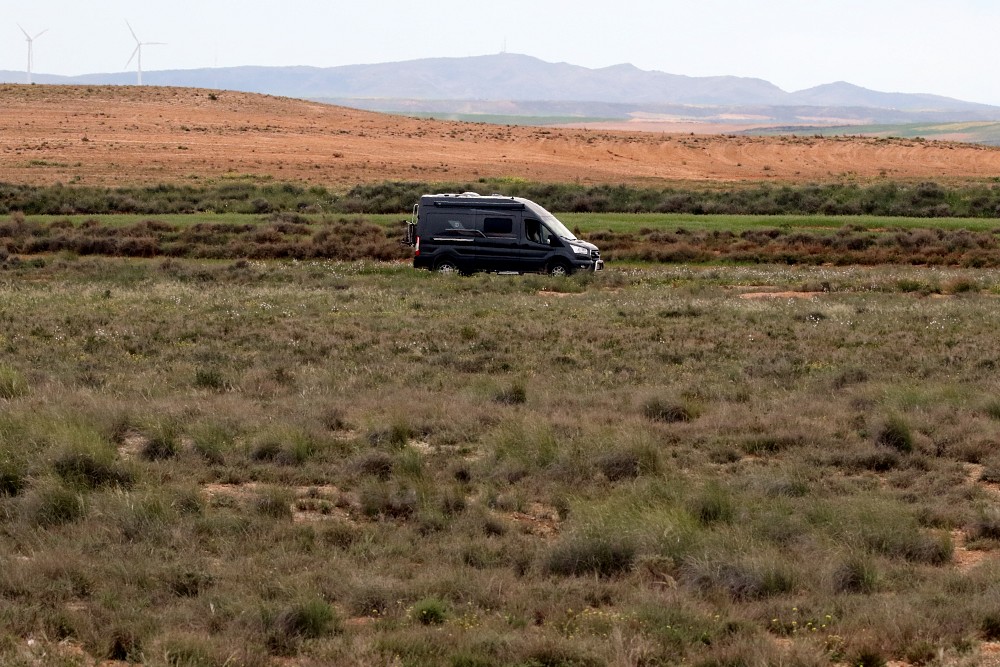 El Planeron (España)