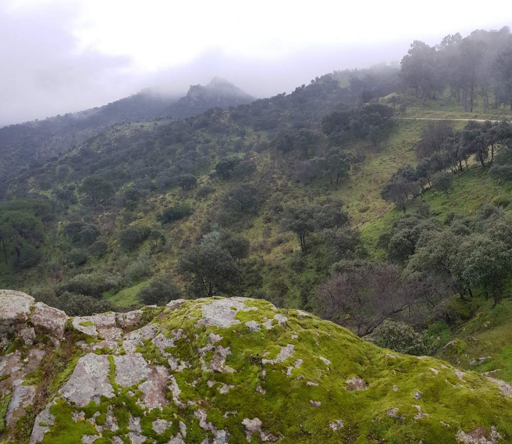 Mirador del embalse del Jandul (Spain)