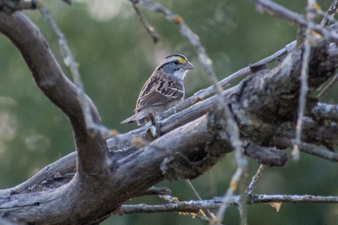 Bear Creek Nature Park, 1300 Bear Creek Rd, Lancaster, TX 75146 (USA)