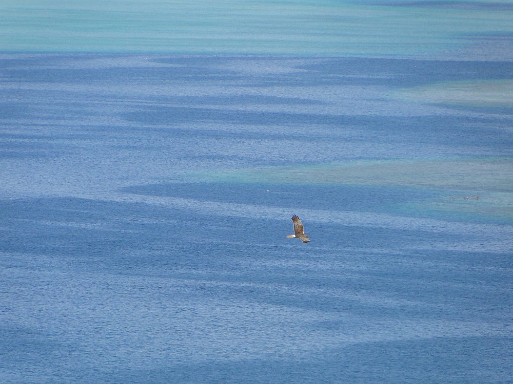 Raiatea (French Polynesia)