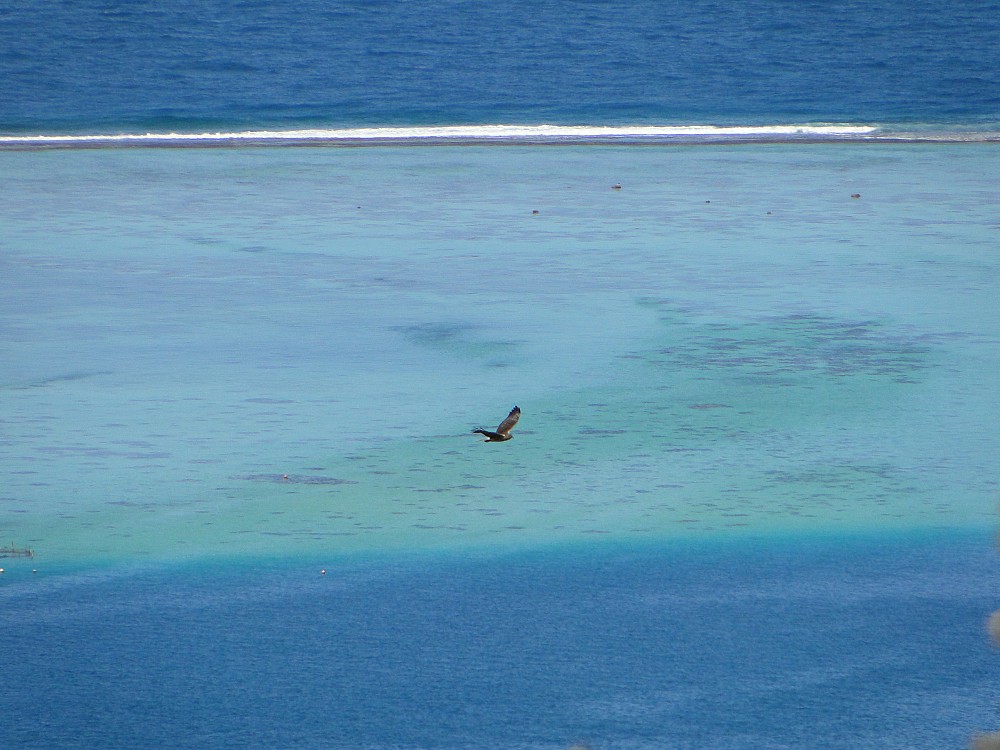 Raiatea (French Polynesia)