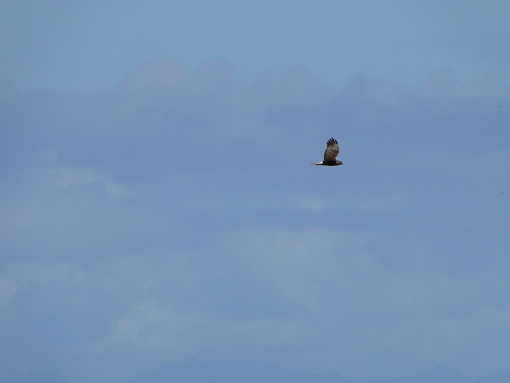 Raiatea (French Polynesia)