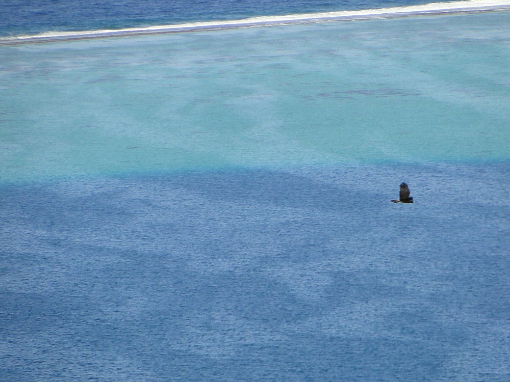 Raiatea (Fransk Polynesia)