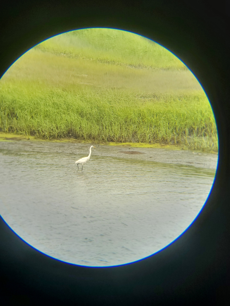 89 E 10th St, Avalon, NJ 08202 (Estados Unidos)