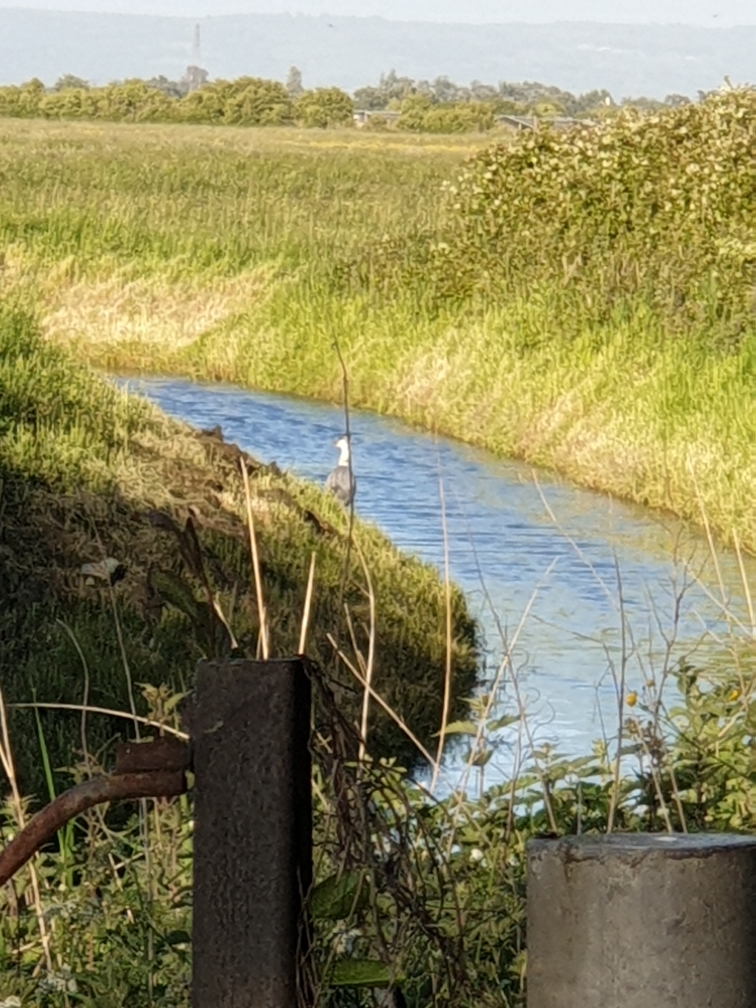 Red Rd, Burnham-on-Sea TA8 (United Kingdom)