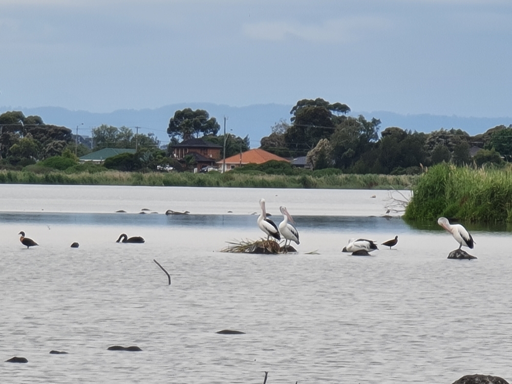 Cherry Lake Altona, Millers Rd, Altona VIC 3018 (Australia)