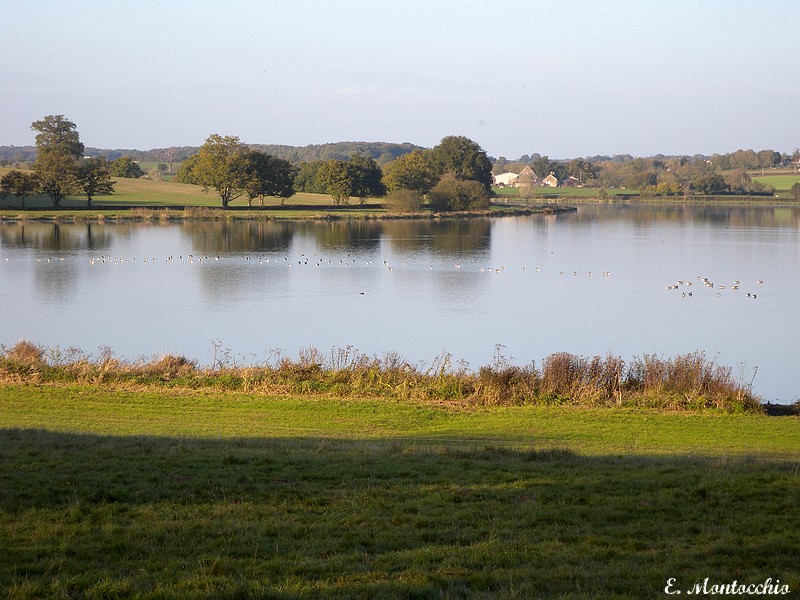 Étang de Fleury-la-tour , 58110 Tintury (Франция)