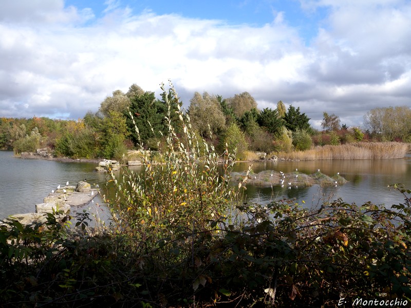 Parc des Chanteraines (France)